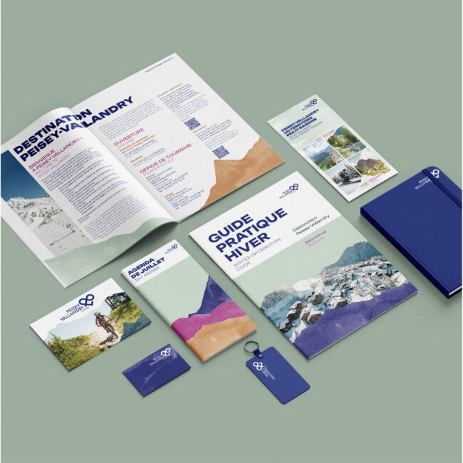 1 vue d'ensemble Peisey Vallandry